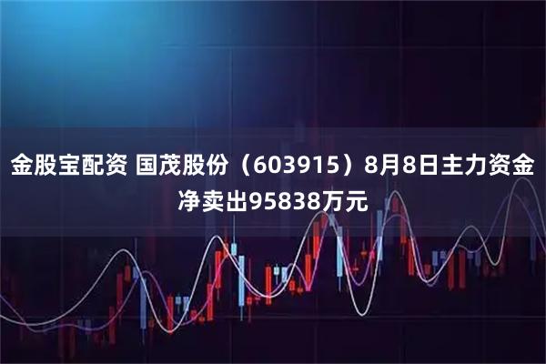 金股宝配资 国茂股份(603915)8月8日主力资金净卖出95838万元