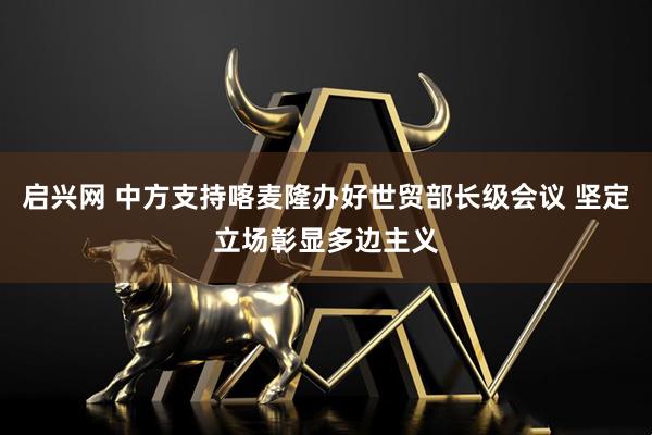 启兴网 中方支持喀麦隆办好世贸部长级会议 坚定立场彰显多边主义