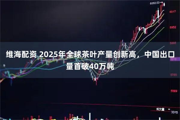 维海配资 2025年全球茶叶产量创新高,中国出口量首破40万吨