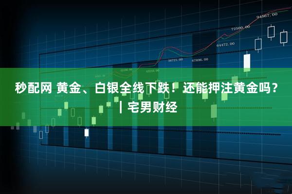 秒配网 黄金、白银全线下跌！还能押注黄金吗？｜宅男财经