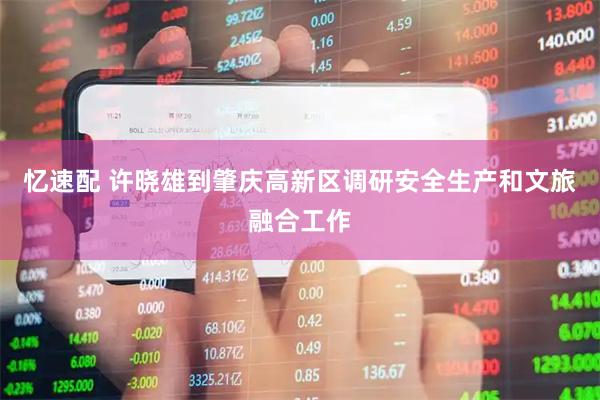 忆速配 许晓雄到肇庆高新区调研安全生产和文旅融合工作