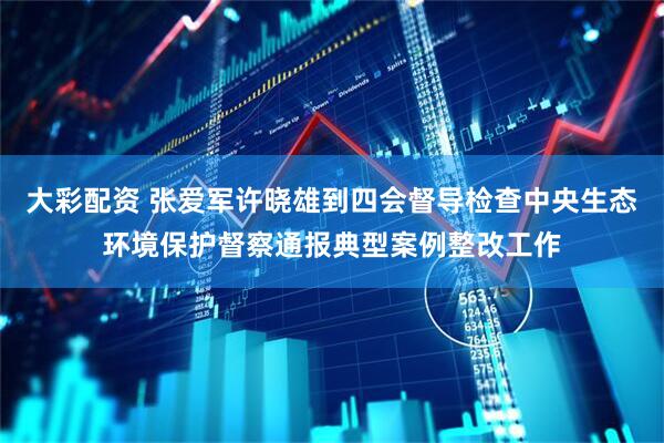 大彩配资 张爱军许晓雄到四会督导检查中央生态环境保护督察通报典型案例整改工作